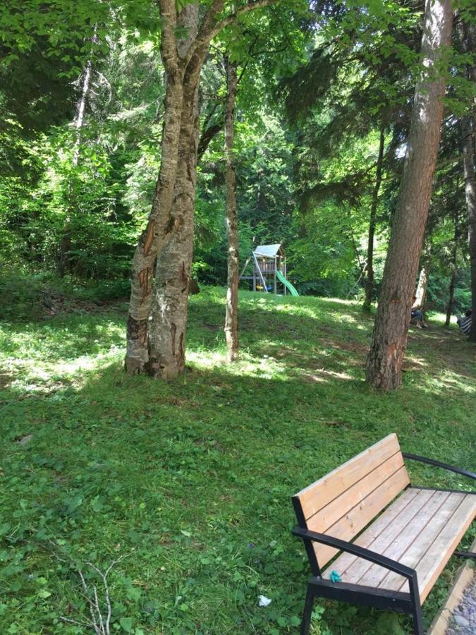 Bakuriani Apartment With Forest Around מראה חיצוני תמונה