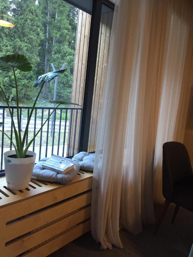 Bakuriani Apartment With Forest Around מראה חיצוני תמונה